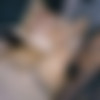 [OnlyFans.com] Savannah Bond & Violet Myers (2022-08-02) [2022, All Sex, Big Ass, Big Tits, Blonde, Blowjob, Brunette, Bubble Butt, Hardcore, Interracial (IR), POV, Threesome, 720p, SiteRip] thumb