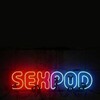 Sex Pod S02E08 1080p WEB h264-COALESCENCE thumb