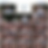 [BukkakeBoys.com] 5  2012  [2012 ., Oral/Anal Sex, Bukkake, Group, Interracial, Facial Cumshot, SiteRip] thumb