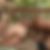 [RagingStallion.com] Trapped. Scene 3 (Sean Duran, Jason Vario) [2017 ., Muscles, Kissing, Cumshot, Blowjob, Anal, Rimming, Shaved Head, Tattoo, 1080p] thumb