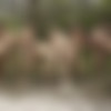 [LucasEntertainment.com] 11-Man Fire Island Bareback Orgy (Part 01) (Alexander Volkov, Andrey Vic, Drake Masters, Drew Dixon, Ian Frost, Jackson Radiz, Manuel Skye, Max Adonis, Max Arion, Ruslan Angelo, Shane Jackson) / LVP327-01 Fire Island Sex Party, scene 1 [2019 ., Anal, Bareback, Group, Blowjob, Uncut, Outdoors, Rimming, Ass to Mouth, Fisting, Cumshots, 720p] thumb
