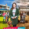 Holiday Joy 2016 1080p BluRay REMUX AVC DTS-HD MA 5 1-MainFrame thumb