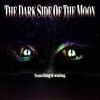 The Dark Side of the Moon 1990 1080p BluRay x264-OFT thumb