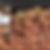[DigitalDesire.com] 2015-07-27 Ana Foxxx [2015, Solo, Nude, Ebony, Masturbation, Small Tits, Closeups, 1080p] thumb