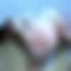 [PrivateSociety.com] Carly (Banging Some Local Ass) [2022-08-25, Anal, 1on1, Blowjob, Hardcore, Doggy Style, Missionary, Amateur, Anal Doggy, Black Hair, Anal Missionary, Low Light, On Her Knees, Trimmed Pussy, Natural Tits, 1080p] thumb