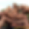 [Hightide-Video.com] SPANISH PISS VACATION 2 /    2 [2006 ., Pissing, Masturbation, Lesbian, All Sex,. SiteRip] thumbnail