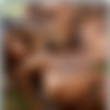 [photodromm.com] photodromm.com 2018-09 [Big Tits, Solo, Posing, Glamour, Softcore] [2000x3000, 674 , 15 ] thumbnail