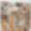 [ExtremeLadyboys.com] - Nancy - Peeping Tom [2010 ., Ladyboys, Hardcore] thumb