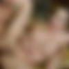 [TransAngels.com] Kimberlee / Kimber Dinner Party Delight (22 Jan 2018) (TransAngels.com) [2018 ., Shemale, Transsexual, Big tits, Big Dicks, Oral, Anal, Hardcore, Bareback, All Sex, 1080p, SiteRip] thumbnail