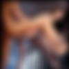 [suze.net] Suze Randall's girls 2015-07 -july/- [feat. Celeste, Taylor St.Claire, Sammy Stone, Tera Patrick, Silvia Saint, Stormy Daniels, Jenna Haze, Lanny Barby, Aimee Sweet, Vicca] [16002400, 887 , 18 ] thumbnail