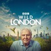 Wild London 2026 2160p iP WEB-DL Hybrid DV HLG H 265 AAC2 0-ATTABORO thumb