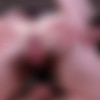 [ManyVids.com] RavenIvee - Hairy Teen Ride Fat Cock Anal, Gape, ATM [2019-06-10, brunette, petite, hairy, full bush, creampie, creamy, butthole, teen, piercing, tattoo, real couple, amateur, anal, assfuck, 1080p] thumb