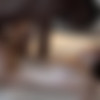[BrothaLovers.com / Interracialsexx.com] Chloey Riley & Lowtru [2015 ., 4K, Black, Interracial, BDWC, Blowjob, All sex, Creampie, 2160p] thumbnail