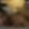 [TylersRoom.net] Casey Everett and Jack Hunter [2017 ., Anal Sex, Bareback, Big Dick, Blowjob, Cumshots, Hairy/Shaved, Masturbation, Muscles, Rimming, Romance, Tattoos., 1080p] thumbnail