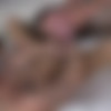 [DominicFord.com] Sean Duran and Andrea Suarez Flip Fuck [2016, Anal Sex, Big Dick, Blowjob, Cumshot, Facial, Flip-Flop, Kissing, Masturbation, Muscles, Rimming, Tattoos., 2160p] thumb