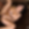 [RealWifeStories.com / Brazzers.com] Lisa Ann (Lisa's Big Secret / 02.04.15) [2015 ., Interracial,MILF,Huge Tits,Bubble Butt,Brunette,Wife,Blowjob (POV),Ass Worship,Big Tits Worship, 1080p] thumb
