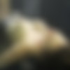 [Sexunderwater.com] Sexunderwater.com [Hardcore, artistic glamour, pools] [ 800*600  1200*675, 3812  35 ] thumbnail