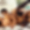 [TwistysHard.com / Twistys.com] Eva Lovia ( Time On Our Hands / 01.02.14) [2015 ., Blowjob, Close Up, Cum Shot, Oral Sex, Stockings-Pantyhose, Tattoos, Trimmed Pussy, Natural, 720p] thumb