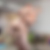 [BangbrosClips.com / BangBros.com] Piper Perri (Pipe her!! And by her, we mean pipeperr! / 19.02.2015) [18+, Amateur, Blonde, Blowjob, Cumshot, Facial, Handjob, Hardcore, Natural Tits, Small Tits, White, 720p, HDRip] thumb
