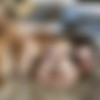 [ATKGirlfriends.com] Aliya Brynn & Melody Marks (BTS) [2019 ., Threesome FFM, POV, Lesbians, Blowjob, Footjob, All Sex, 1080p] thumb
