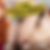 [RealJamVR.com] Arietta Adams (Redhead Arietta Adams) [2022-08-14 ., American Babe Cowgirl Doggy style Hardcore Missionary POV Pornstars Redheads Reverse cowgirl Trimmed pussy, SideBySide, 7k, 3584p] [Oculus Rift / Vive] thumb