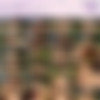 [SapphicErotica.com] Eve and Zara (   ) / Bench Affair [12.09.10, Lesbo,outdoor, 720p] thumb