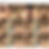 [Transsex] Wild Shemale Orgies-Whats the Size of...? /   -  ...? (WildShemaleOrgies.com) [2008 ., (Shemale/Trans), SiteRip 720p] thumbnail