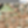 [Old-and-Young-Lesbians.com / Mature.nl] Old & young lesbians (Pack / 2019, October / 7 videos) [Old & Young, All Girl / Lesbian, 1080p, SiteRip] thumb