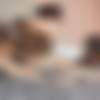 [NoirMale.com] Lucky Guy (DeAngelo Jackson, Skyy Knox) [2020 ., Anal Sex, Sperm, Bareback, Handjob, Blowjob, Muscular, Interracial, Black, 720p] thumbnail