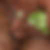 [SeanCody.com] SC-2286 Puerto Rico: Day 1 - Brysen, Jakob & Randy [2017 ., Anal Sex, Bareback, Big Dick, Blowjob, Cumshots, Kissing, Masturbation, Muscles, Outdoors, Rimming, Tattoos, Threesome, Uncut., 720p] thumb