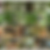 [CzechExperiment.com / CzechAV.com] CZECH EXPERIMENT 3 - ASHLEY (2015 .) [Public Sex, Hardcore, Amateurs, Outdoors] [720p] thumbnail