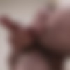 [SeanCody.com] SC-2158 Sebastien [2016 ., Big Dick, Cumshots, Freshmen, Hairy, Interview, Masturbation, Muscles, Solo., 720p] thumb