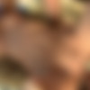[ClubSandy.com / 21Sextury.com] Cindy Hope (Two Gardeners And A Pussy part 2) [01.12.2009, Brown Haired, Big Tits, 2 on 1, Oral, Hardcore, DPP, Cumshot, Facial, 1080p] thumb