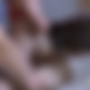 [SlamRush.com] W33kend R3qui3m (Weekend Requiem) [2019 ., Bareback, Group Sex, Anal Sex, Blowjob, Cum In Ass, 1080p] thumbnail
