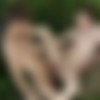 [Staxus.com] Army Dropouts, Sc.3: Smoking Hot Recruits Go Jizz-Happy In A Raw, Ball-Bustin’ Tryst! / 4178 (Johnathan Strake, Johny Cherry) [2016 ., Outdoor, Army, Blowjob, Anal, Bareback, Uniform, Kissing, Masturbation, Twinks, 1080p] thumb