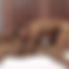 [Meninosonline.net] John & Pietro & Juan [2016 ., Oral/Anal Sex, Muscles, Latino, Brazilian, Huge Dick, Tattoos, Threesome, Masturbation, Cum Shots, 720p] thumb