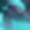 Moonwell Encounter (Nagoonimation) [2025, orc, night elf, world of warcraft, big tits, doggy style, interracial, wet, big cock, classic sex, WEB-DL] [1080p, 2160p] thumbnail