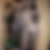 [LadyboyObsession.com / LadyboyGold.com] Poy 3 / Big Brown Cock Bareback (22-03-2022) [2021 ., Transsexuals, Shemale, Ladyboy, Asian, Anal, Bareback, Blowjob, Close-ups, Creampie, Cumshots, Gaping, Handjob, Hardcore, POV, 2160p, SiteRip] 4K thumb