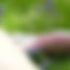 [CockyBoys.com] Dillon Rossi and Jasper Robinson Flip-Fuck! [2014 ., Anal Sex, Big Dick, Blowjob, Cumshots, Facial, Flip-Flop, Interview, Kissing, Masturbation, Muscles, Outdoors, Tattoos, Twink., 720p] thumb