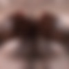 [Hegre-Art.com] 2013-03-26 Valerie - Black & White Breast Massage [Erotic, Massage, 1080p] thumb