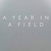 A Year in a Field [2023] / 720p / WEB / H264 / AAC / Subs / MKV / WiWo thumb