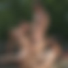 [Str8ToGay.com / Men.com] Rumspringa Part 3 (Garrett Cooper, Jack Radley & Rafael Alencar) [2015 ., Anal/Oral Sex, Cumshots, Muscles, Rimming, Tattoos, Big Dick, Threesome, Facial, 720p] thumb
