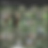 [amourangels.com] -  - 2011-11 - (12  + 3  + covers) thumbnail