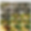 [AlexBoys.com] Waterfall (Austin, Cosimo) [2015 ., Blowjob, Masturbation, Teens, Oral, 720p] thumb