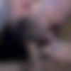 [ButchDixon.com] Rogue Status & Mick Stallone (Rogue Status, Mick Stallone) [2017 ., Anal Sex, Oral Sex, Kissing, Hairy, Rimming, Tattoos, Muscles, 720p] thumb