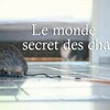 Das geheime Wesen der Katzen 2021 GERMAN DOKU HDTVRip x264-TMSF thumb