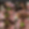 [LadyBoyGold.com] Mos - Oral Fixation Big Rod Bareback (11 Aug 2015) [2015 ., Ladyboy, Transsexual, Hardcore, Anal, 720p, SiteRip] thumb