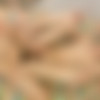 [19nitten.com] Thor & Justin [2013 ., Blowjob, 69, Anal, Bareback, Rimming, Fingering, Masturbation, Kissing, Facial Cumshot, Twinks, Uncut, 720p] thumb