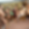 [InterracialBlowbang.com / DogFartNetwork.com] 2015-10-08 Alena Croft [2015 ., Gangbang, Interracial, Blowjob, All sex] [20003000, 200 ] thumb