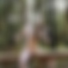 [TheLifeErotic.com] 2015-10-27 Nicolette A (Natures Wonders 2) [2015 ., Solo, Masturbation, 1080p] thumb